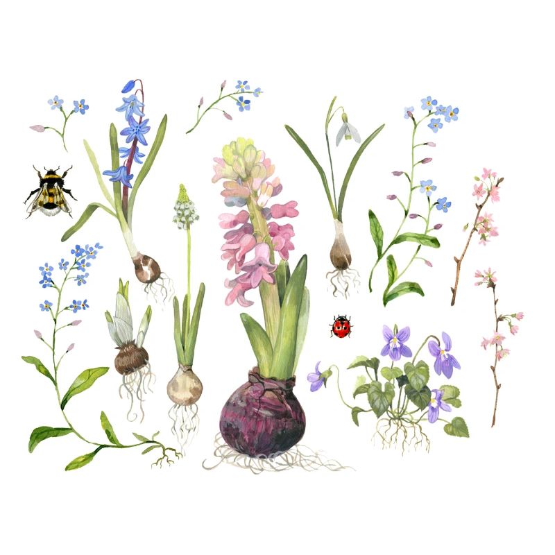 Spring flowers