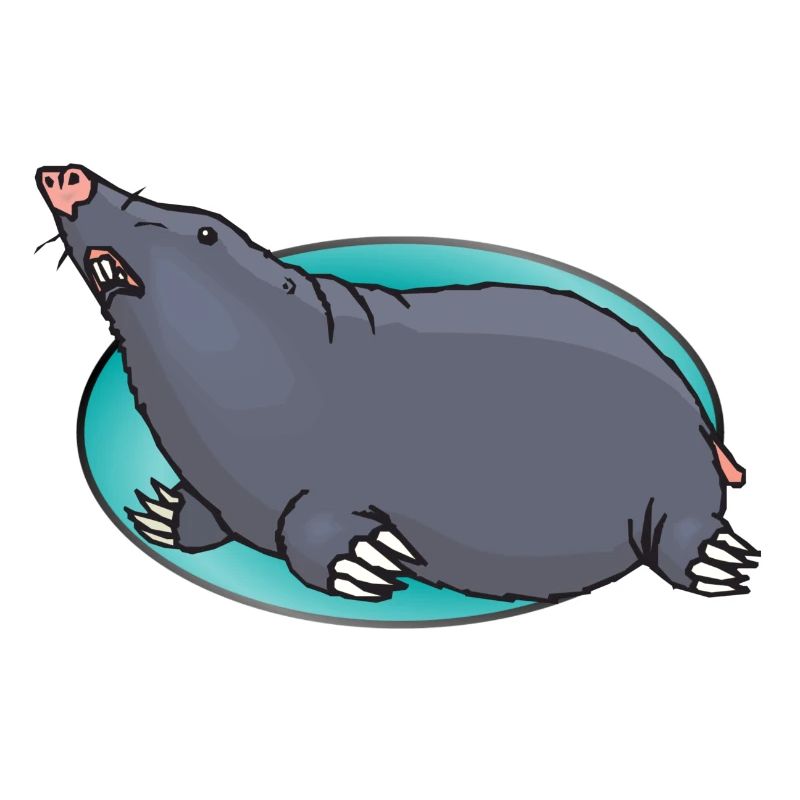 Tier Tiere Maulwurf