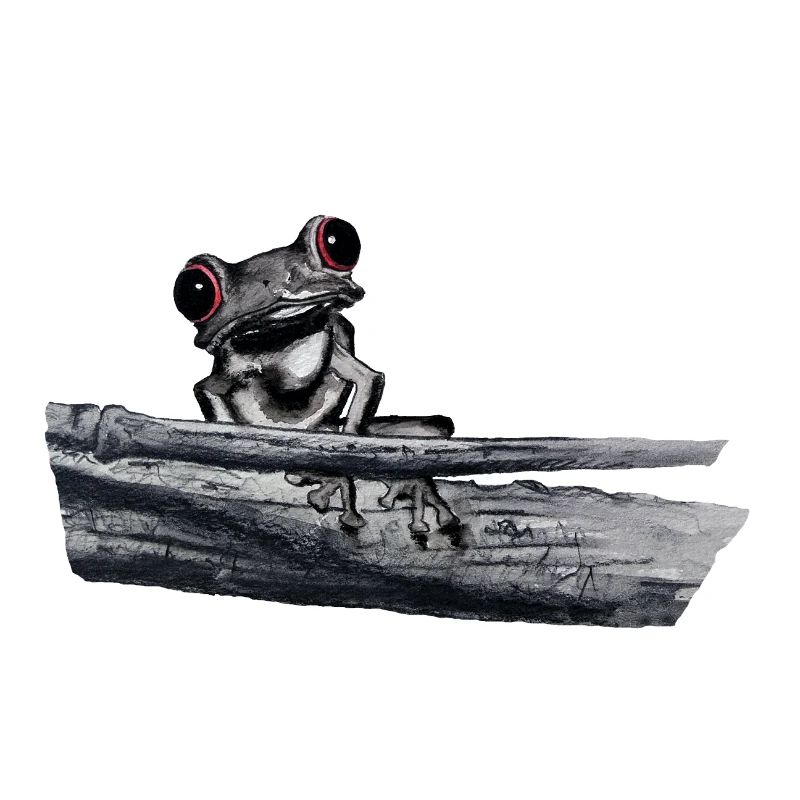 Rotäugiger Laubfrosch