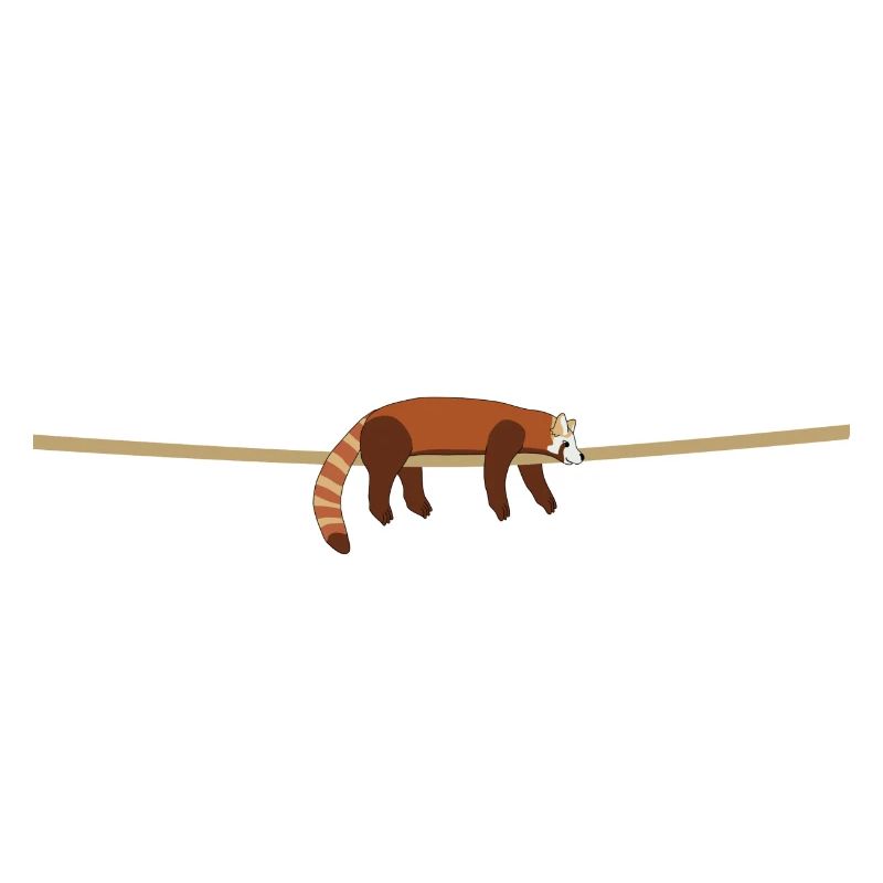 red panda