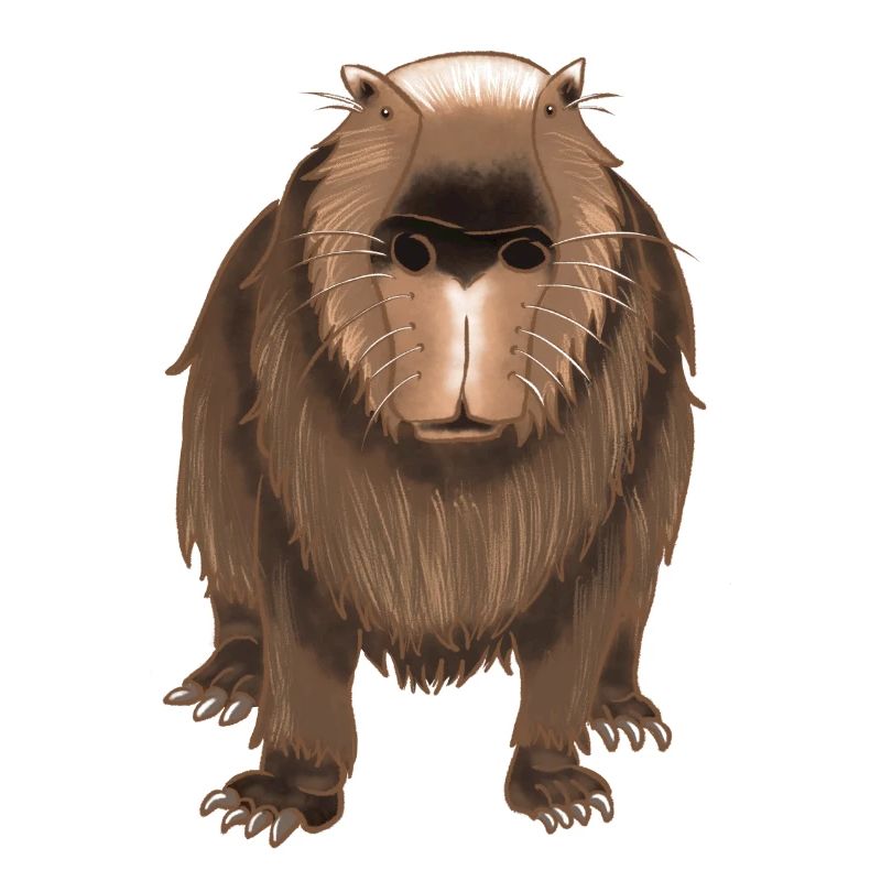 Capybara rigolo