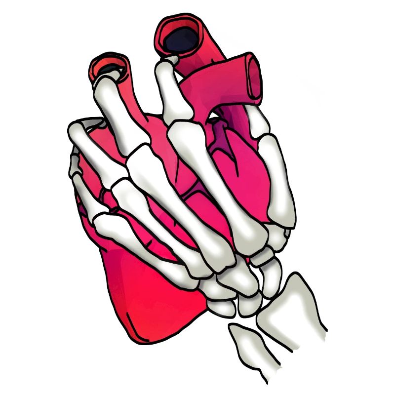 Herz in Skeletthand