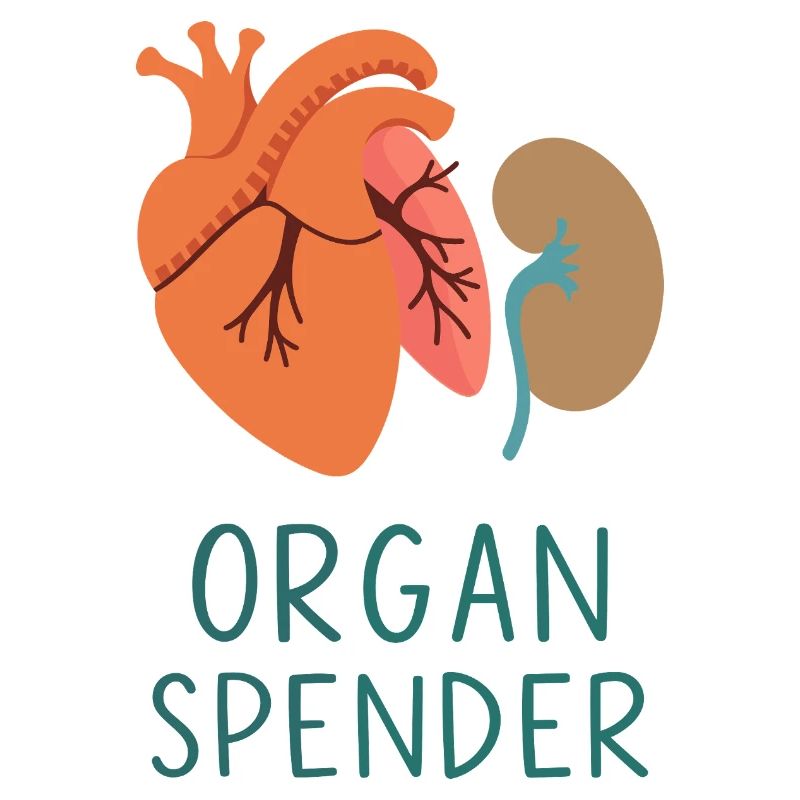 Organ Spender