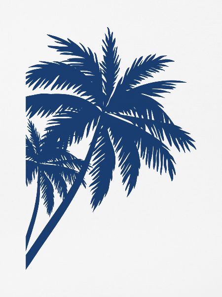 Palme Palm