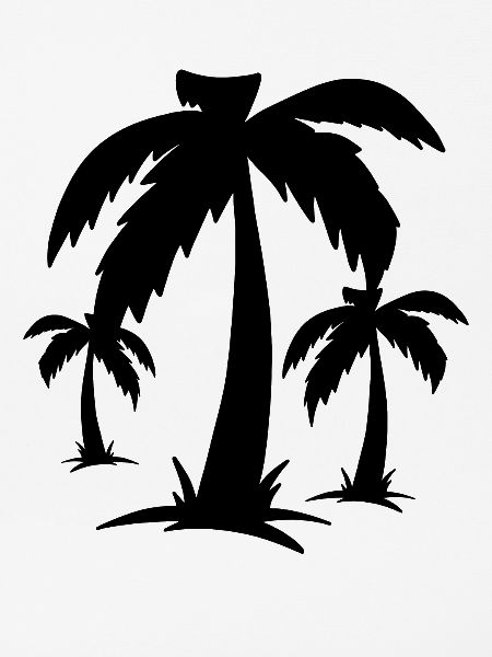 Palmen Palms