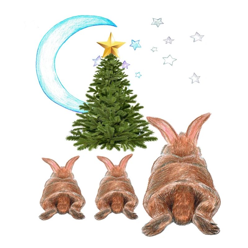 HASE , Weihnachten