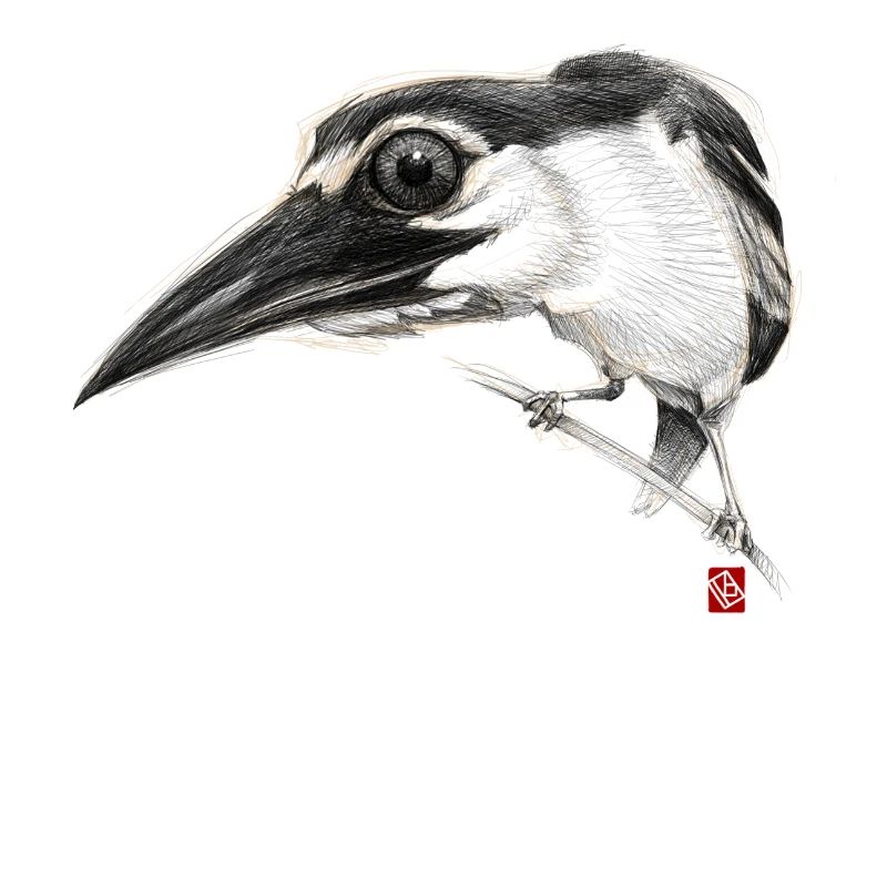 Flüchtiger Vogel # 01
