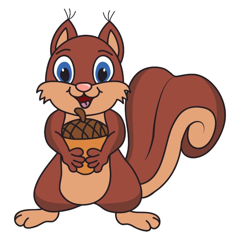 Eichhörnchen