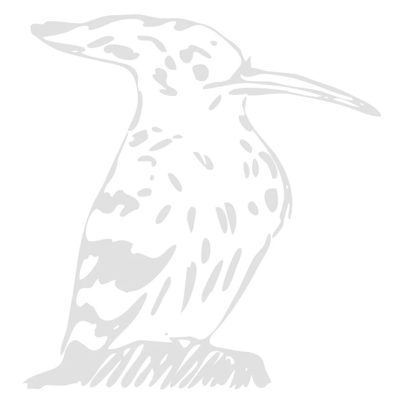 Wiedehopf ähnlicher Vogel