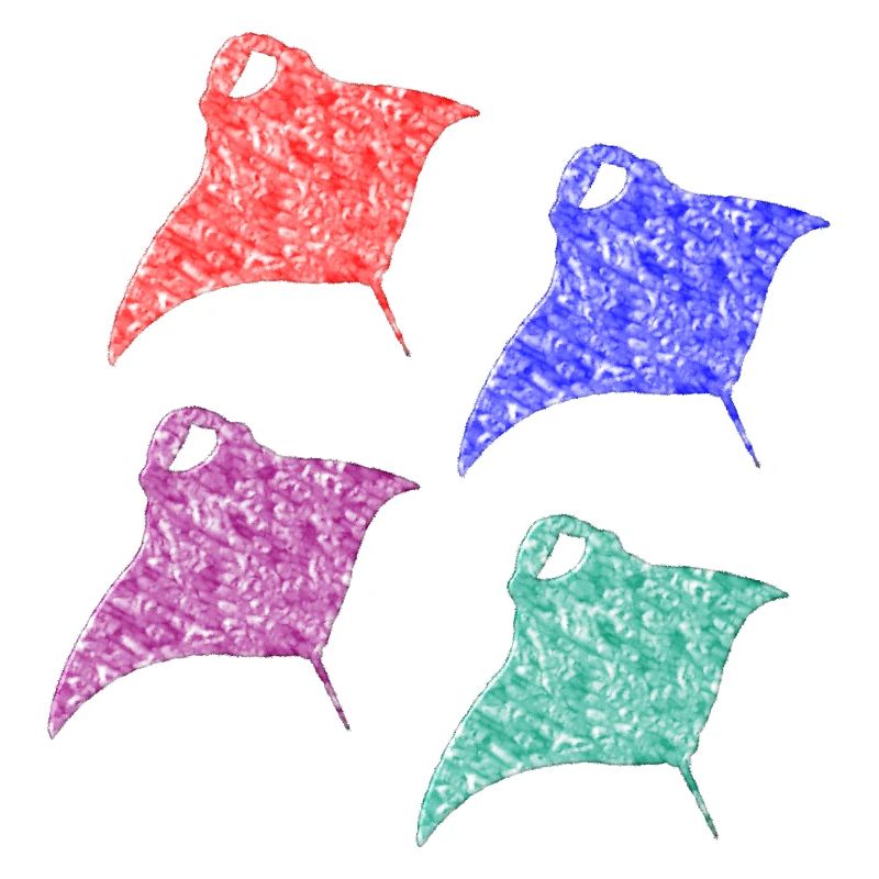Rochen Manta