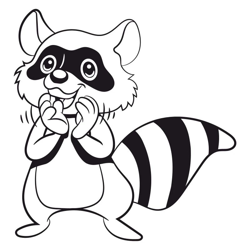 Waschbär lachen lächeln