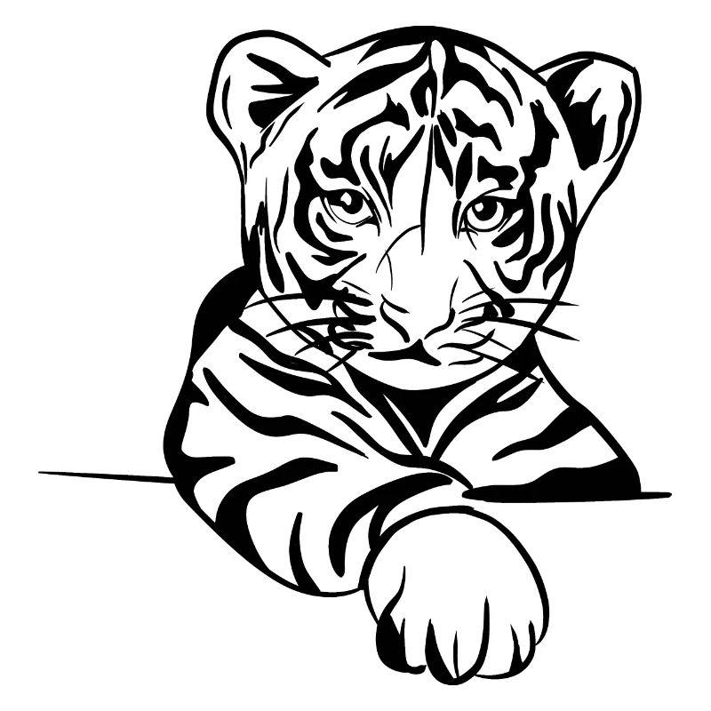 Baby Tiger