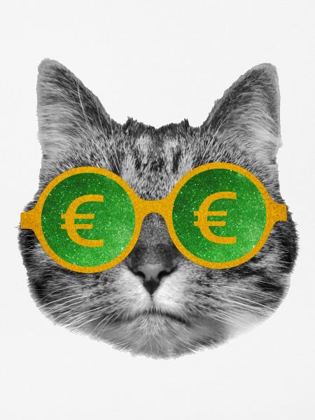 Katzengeldbrille
