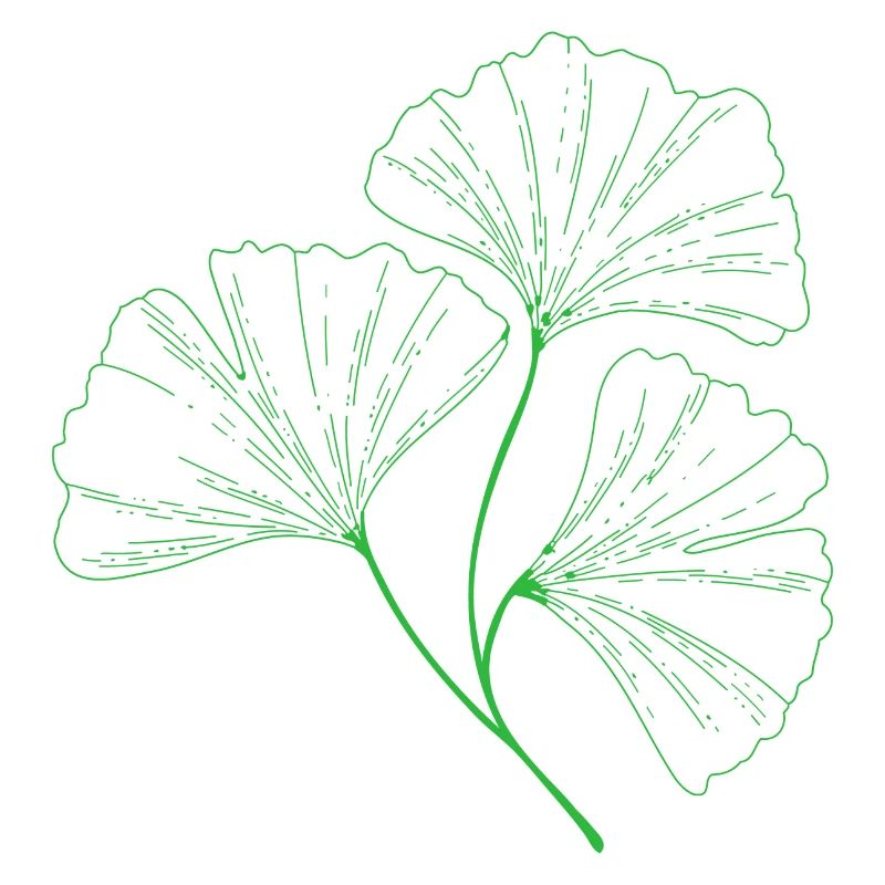 Ginkgo Neon