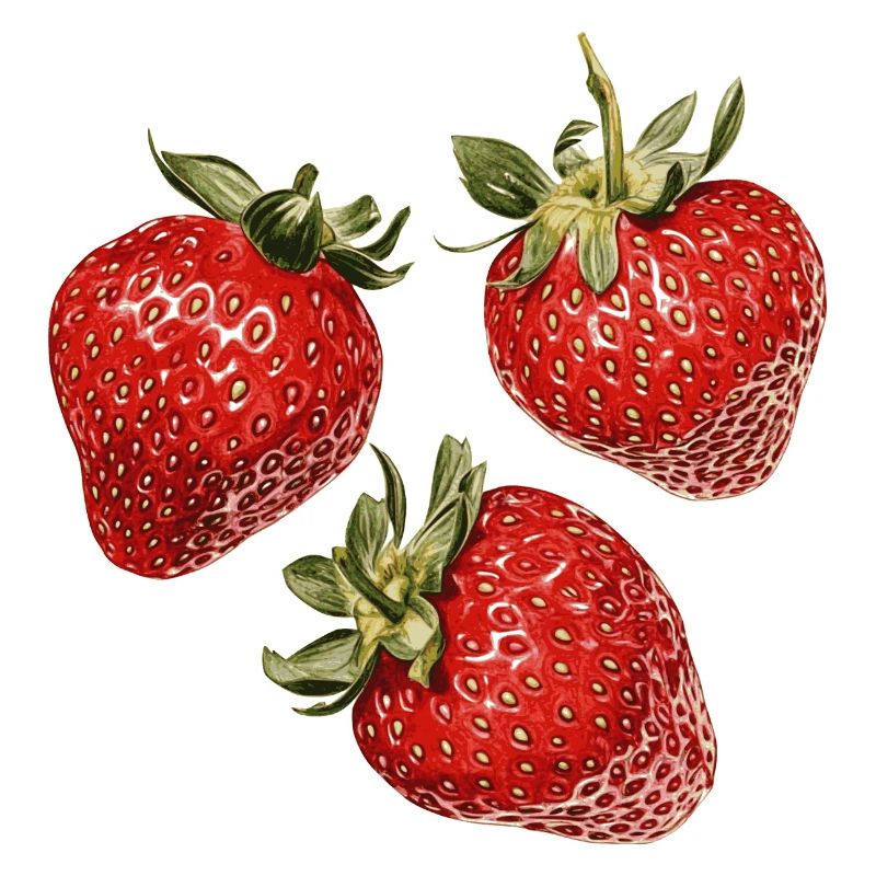 Erdbeeren