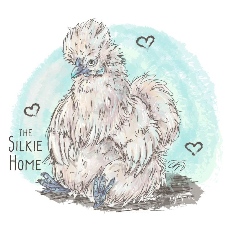 Slkie Home