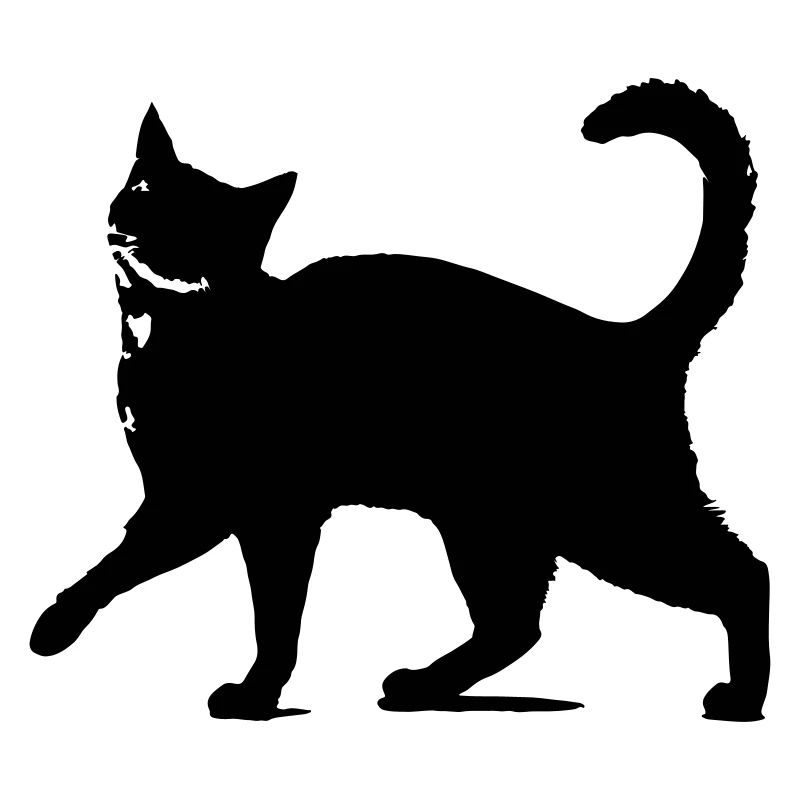 Silhouette de chat noir // silhouette de chat noir!
