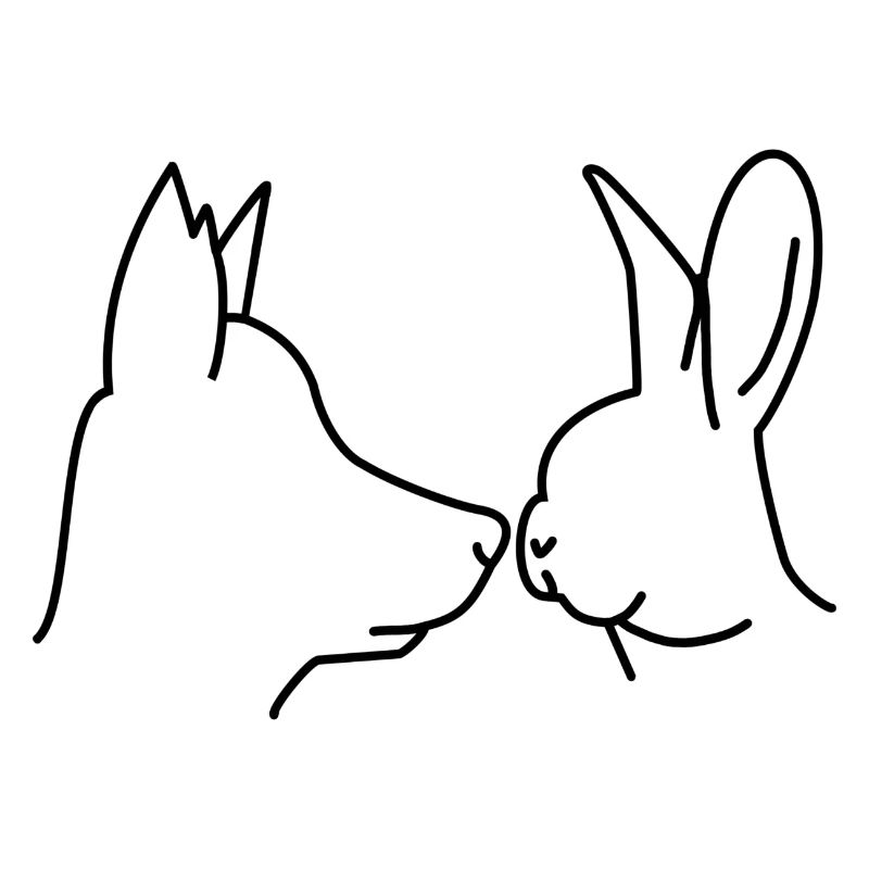 Hund Hase Schnuppern