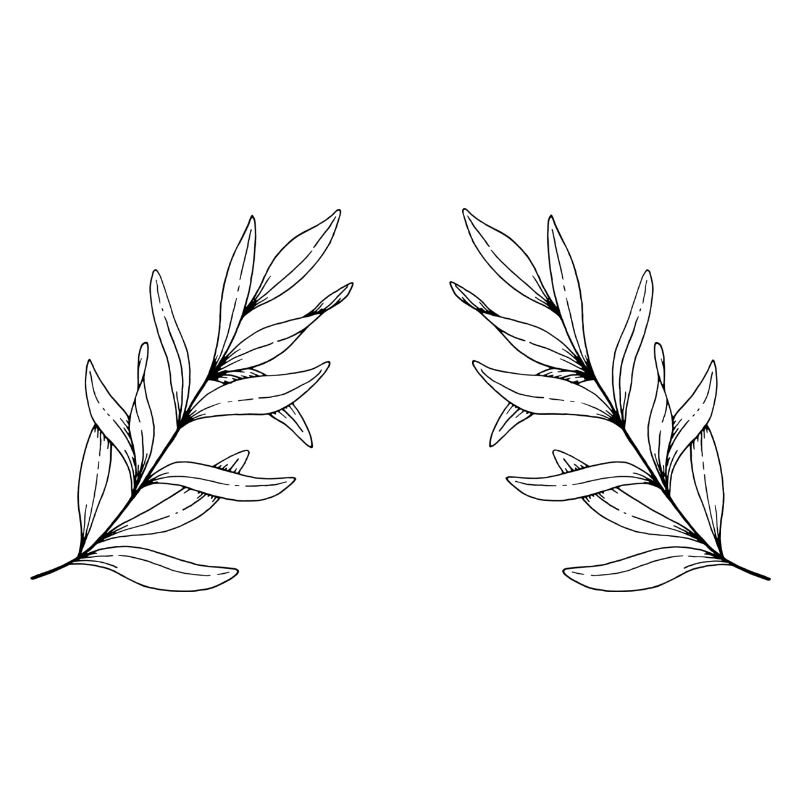 Leaf branch
