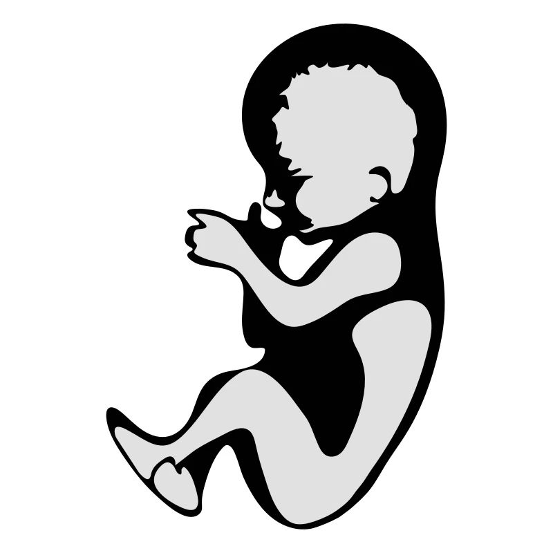 Schwangerschaft / Baby