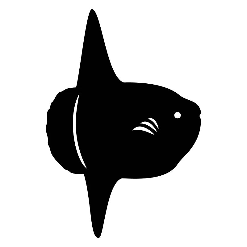 Mondfisch - Mola Mola