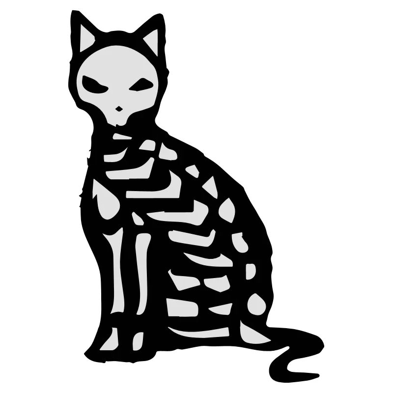Le squelette et les os d'un chat