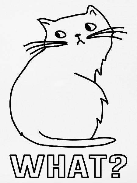 Niedliche Katze What
