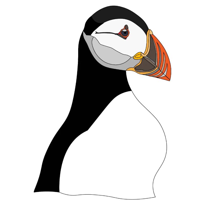 Puffin Head Print