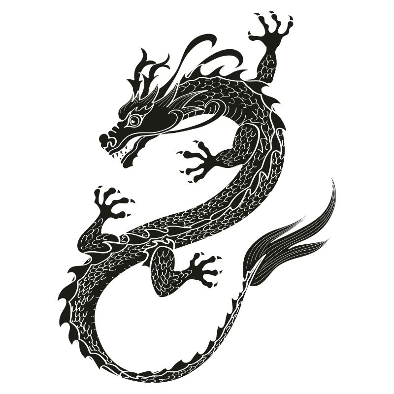 Dragonflight black