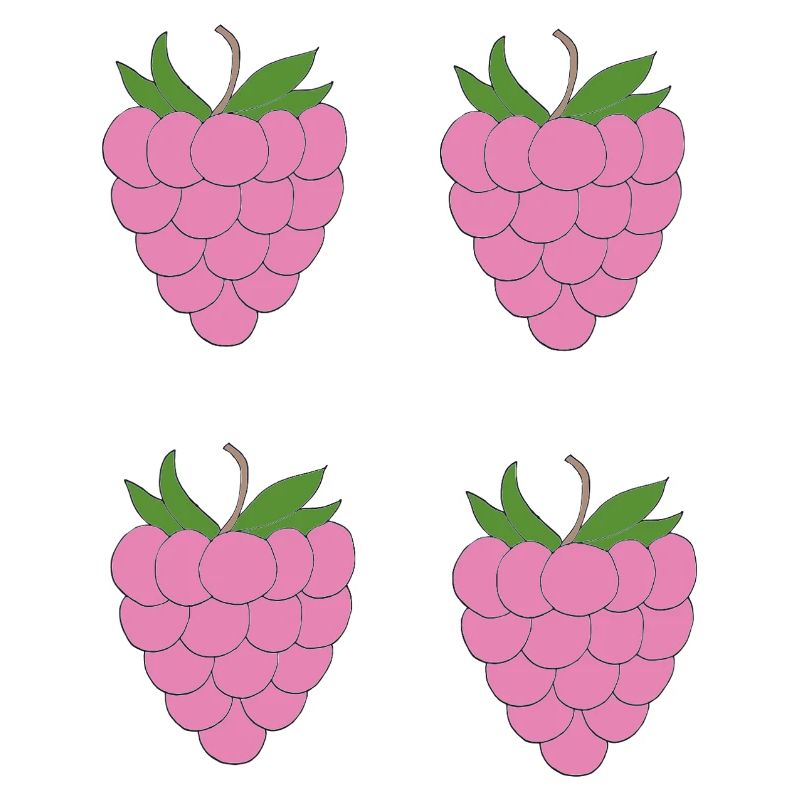 Raspberry Double Cluster Pattern