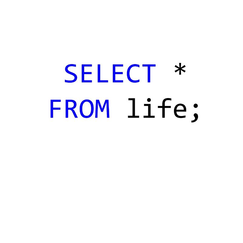 SELECT alles vom Leben- SQL-Programmierer Geschenk