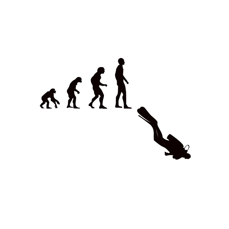 Tauchen Evolution | Menschen Entwicklung Idee