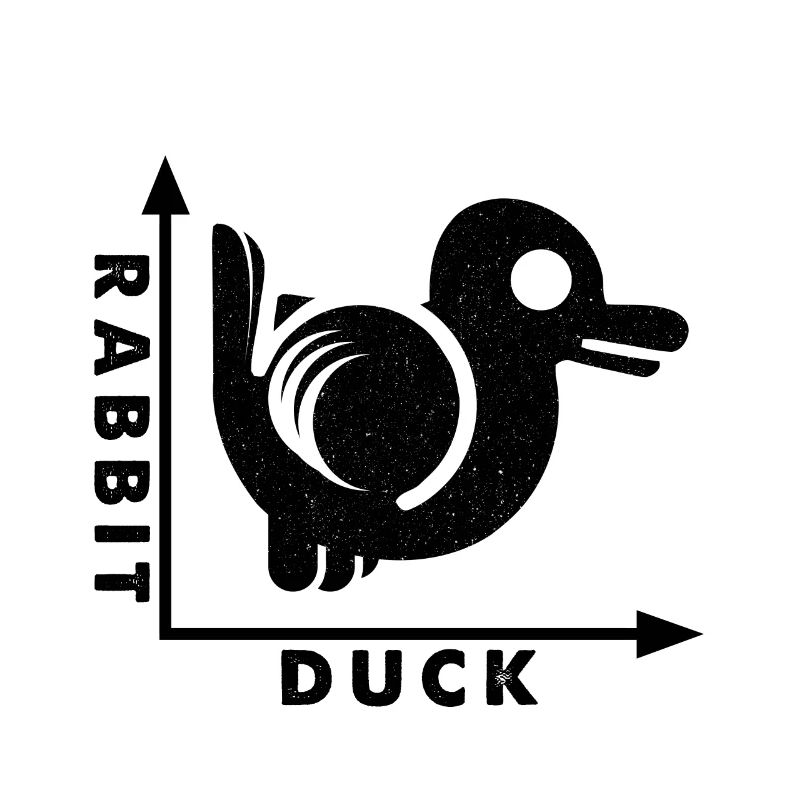 Rabbit Duck