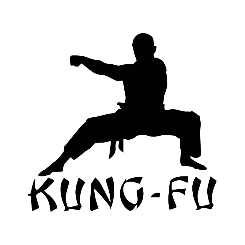 kung fu geschenkshirt