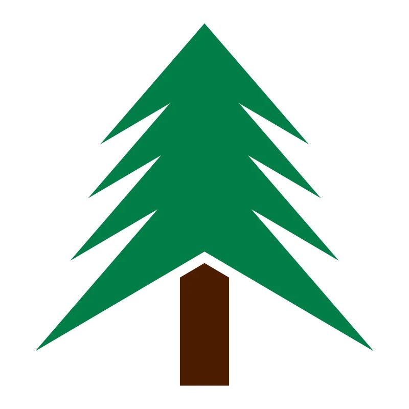baum_2c