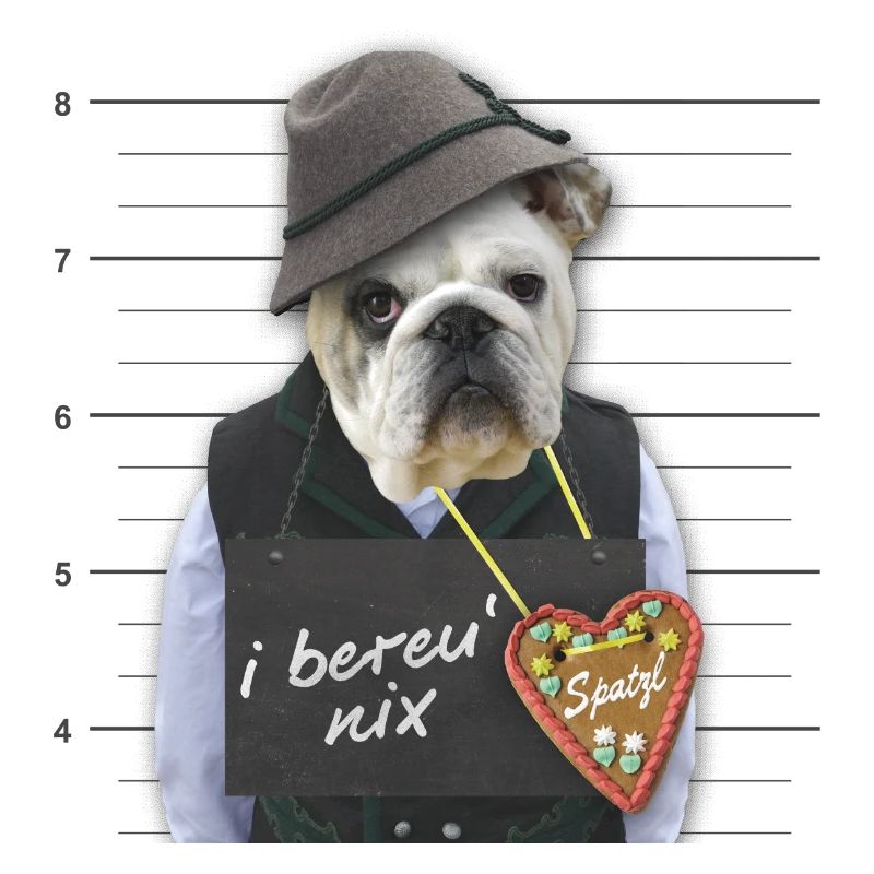 Lustiger Bulldogge "Spatzl"