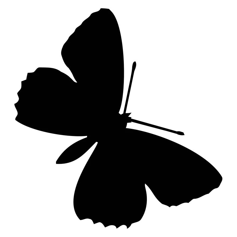Schmetterlinge: Polyommatus Hippothoe