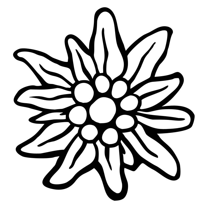 edelweiss
