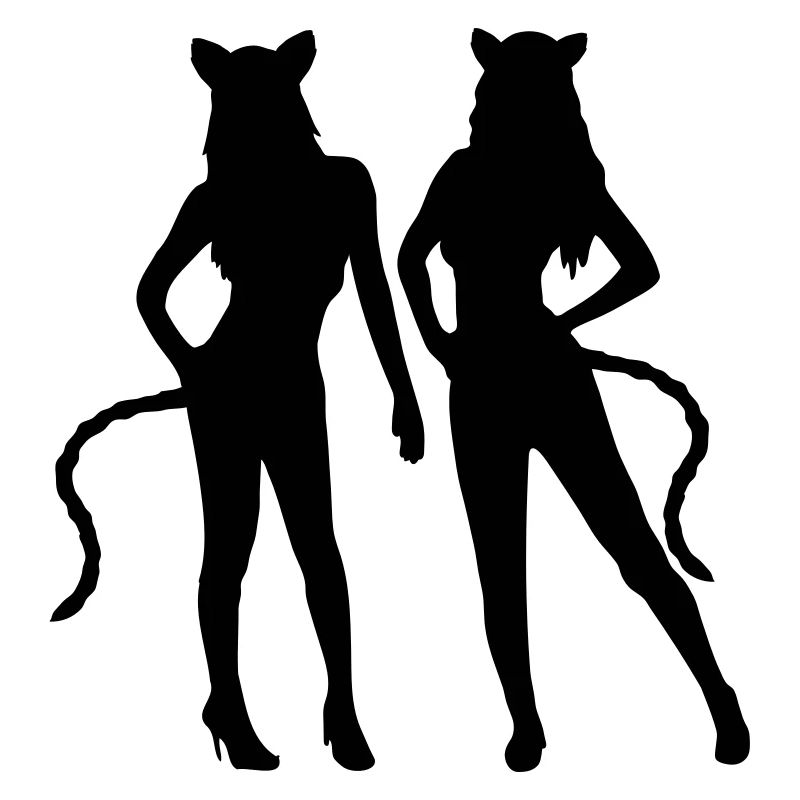 Team 2 Katzen