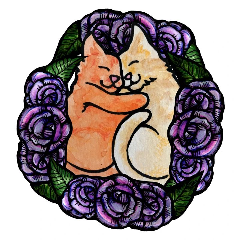 Kätzchen Katzen lieben