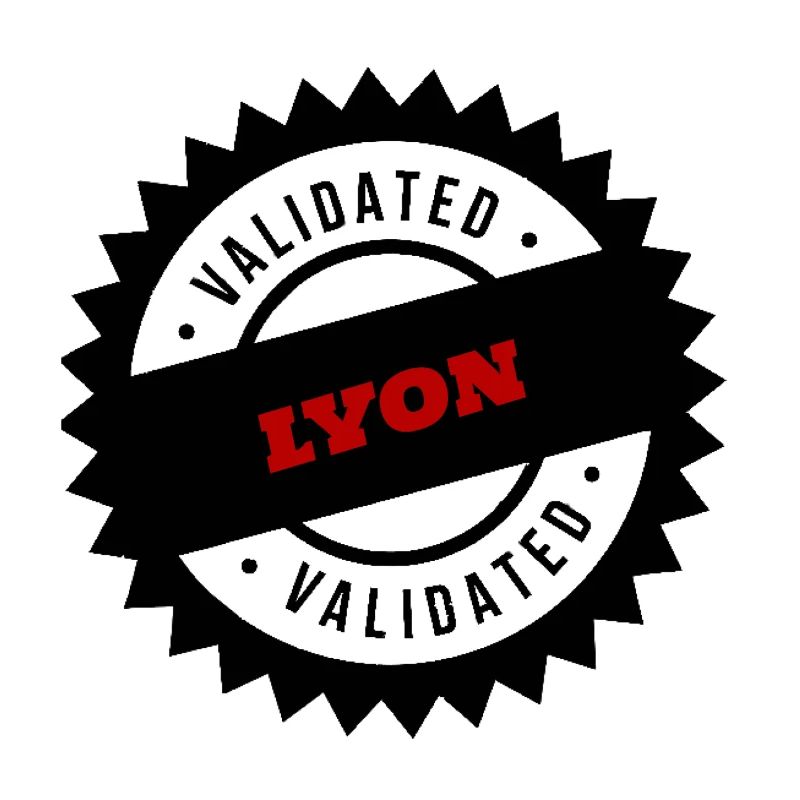 LYON Stadt