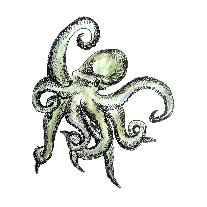 oktopus