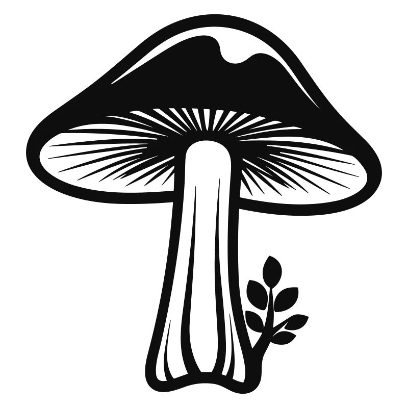 Pilz
