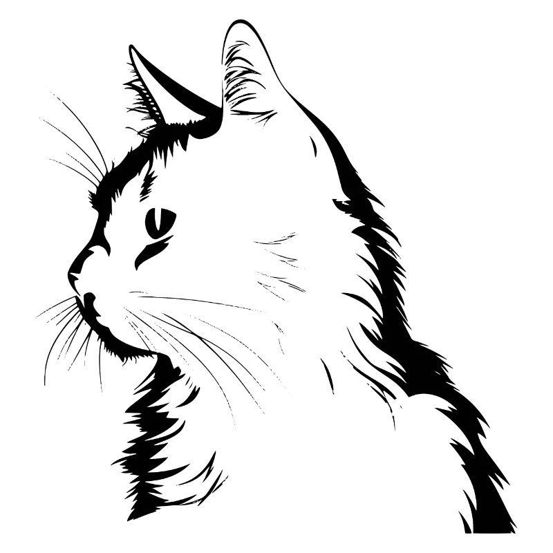 Katze, katzenmotiv