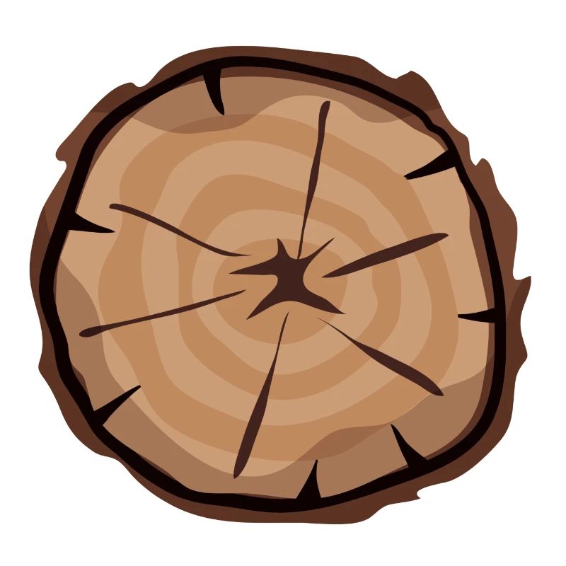 Holzscheibe mit Jahresringen