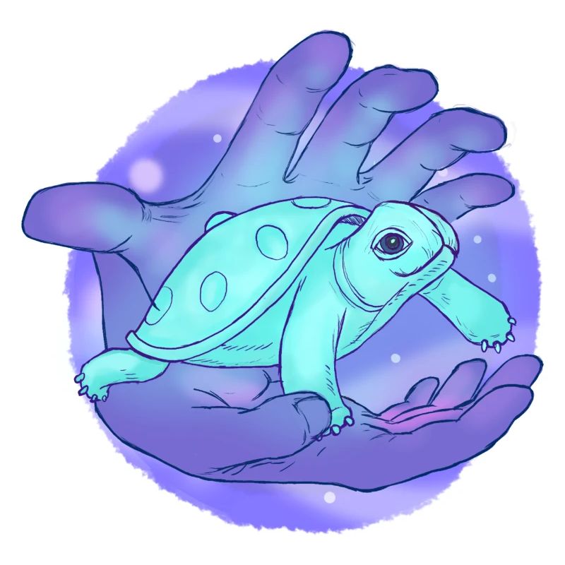 Cute Handpan Turtle