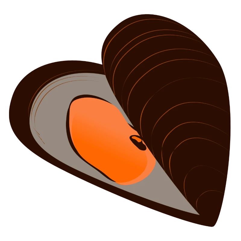 mussel56