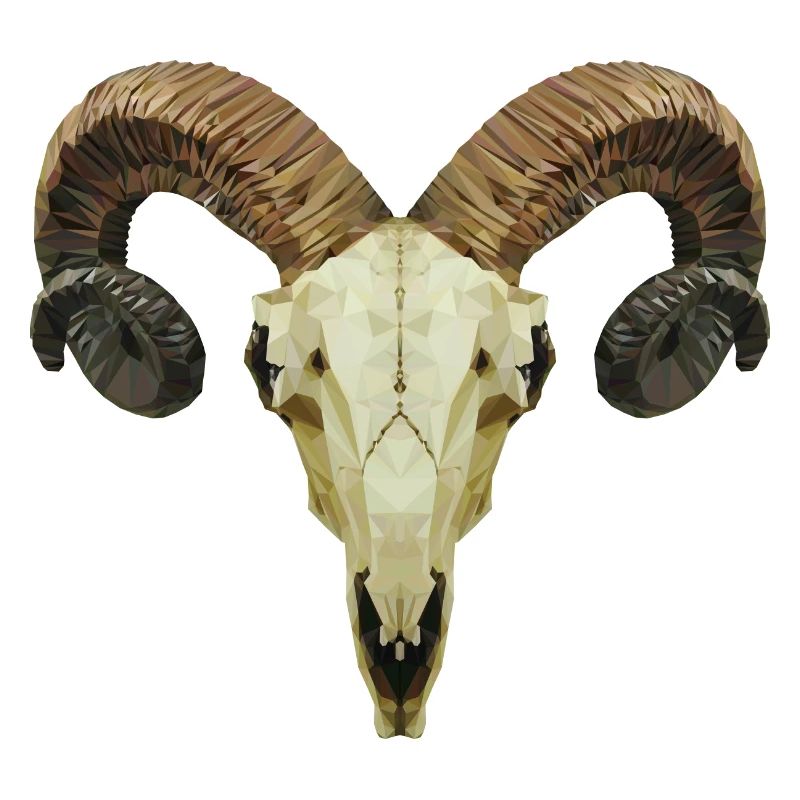 Ram's skull