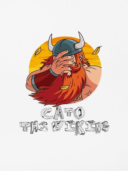 FacePalm Viking