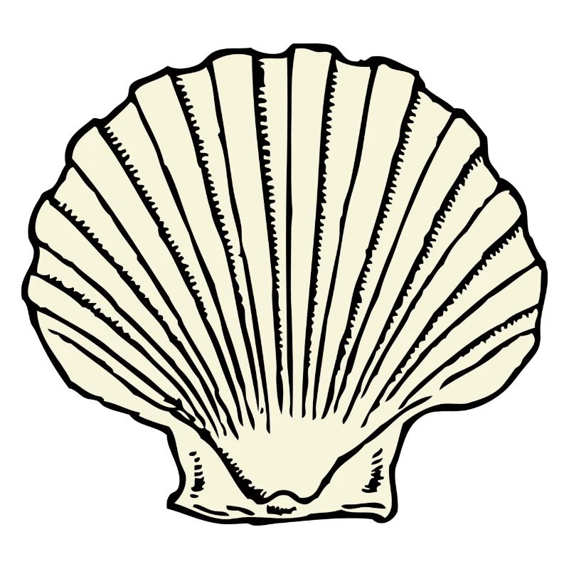 mussel64